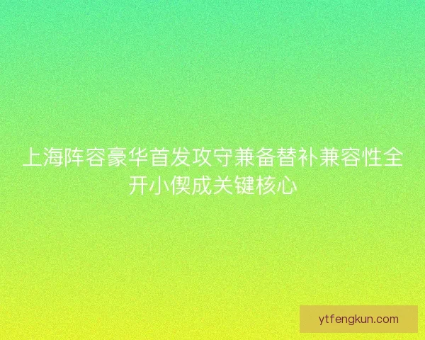 上海阵容豪华首发攻守兼备替补兼容性全开小偰成关键核心 上海阵容豪华首发攻守兼备替补兼容性全开小偰成关键核心