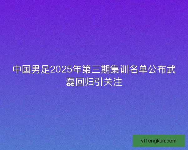 中国男足2025年第三期集训名单公布武磊回归引关注